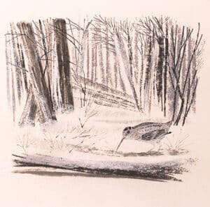 Affotografering tegninger